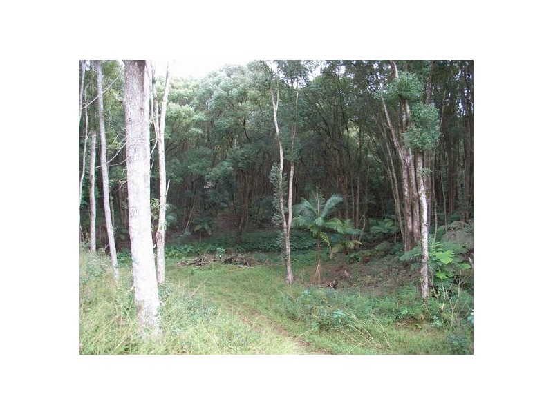 Bellingen NSW 2454
