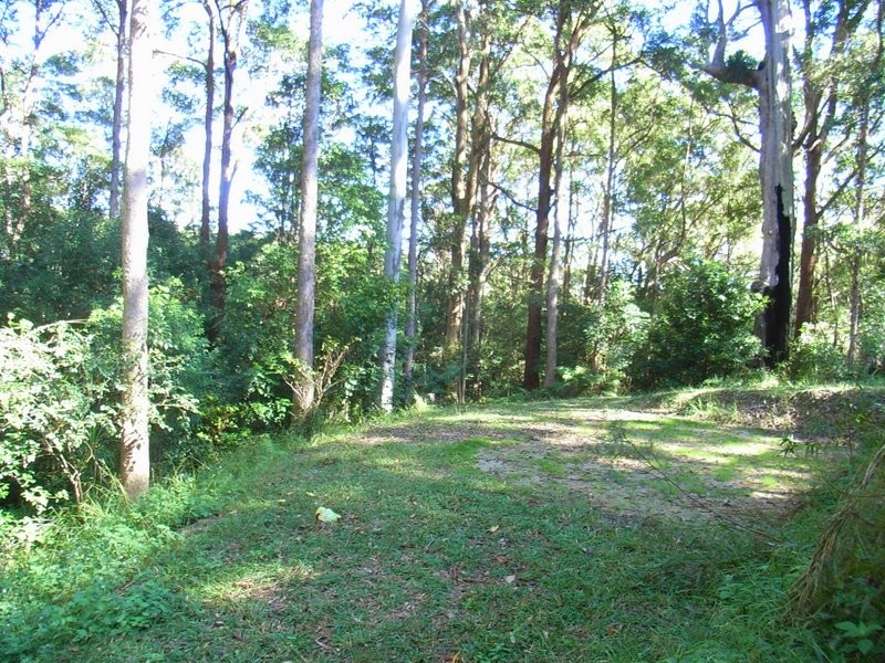 8 Mount Street Fernmount, Bellingen NSW 2454