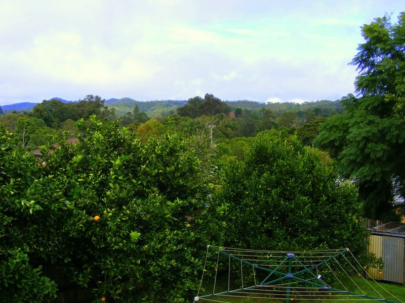 19 Wheatley Street, Bellingen NSW 2454