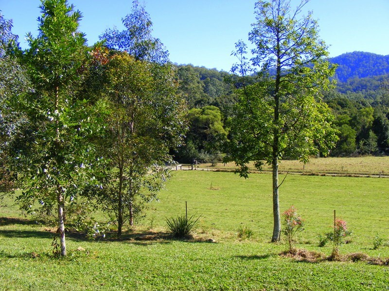 1537 Kalang Road Kalang, Bellingen NSW 2454
