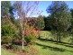 1537 Kalang Road Kalang, Bellingen NSW 2454