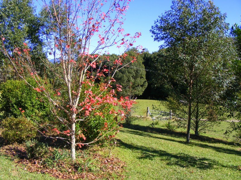 1537 Kalang Road Kalang, Bellingen NSW 2454