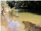 1537 Kalang Road Kalang, Bellingen NSW 2454