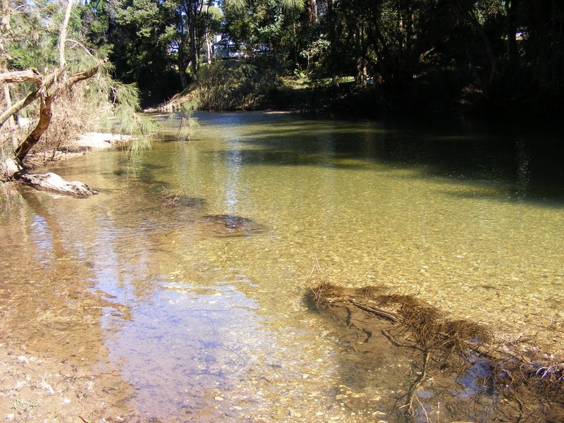1537 Kalang Road Kalang, Bellingen NSW 2454