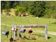1537 Kalang Road Kalang, Bellingen NSW 2454