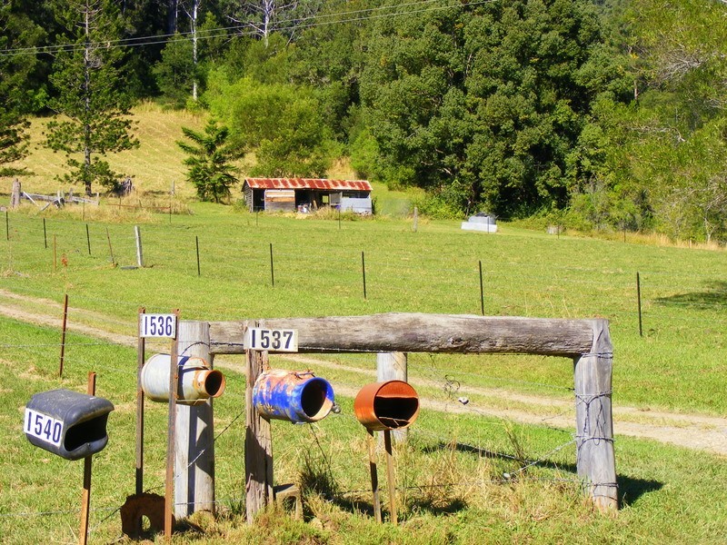 1537 Kalang Road Kalang, Bellingen NSW 2454