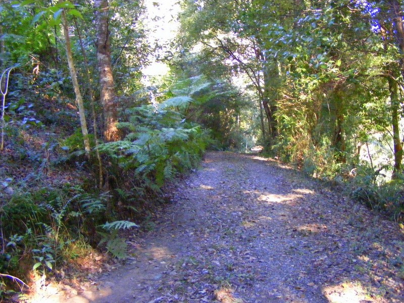 1537 Kalang Road Kalang, Bellingen NSW 2454