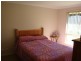 Bellingen NSW 2454