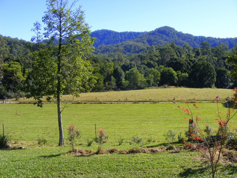 1537  Kalang Road Kalang, Bellingen NSW 2454