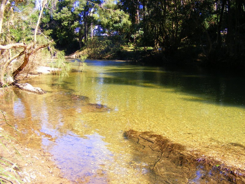 1537  Kalang Road Kalang, Bellingen NSW 2454