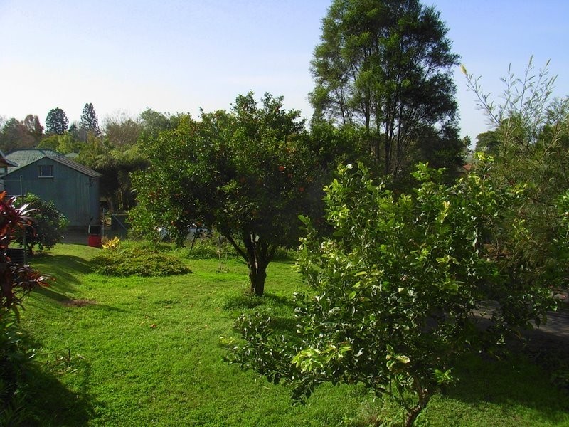 19 Bowra Street, Bellingen NSW 2454