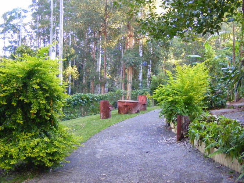 44 Lyon Street, Repton NSW 2454