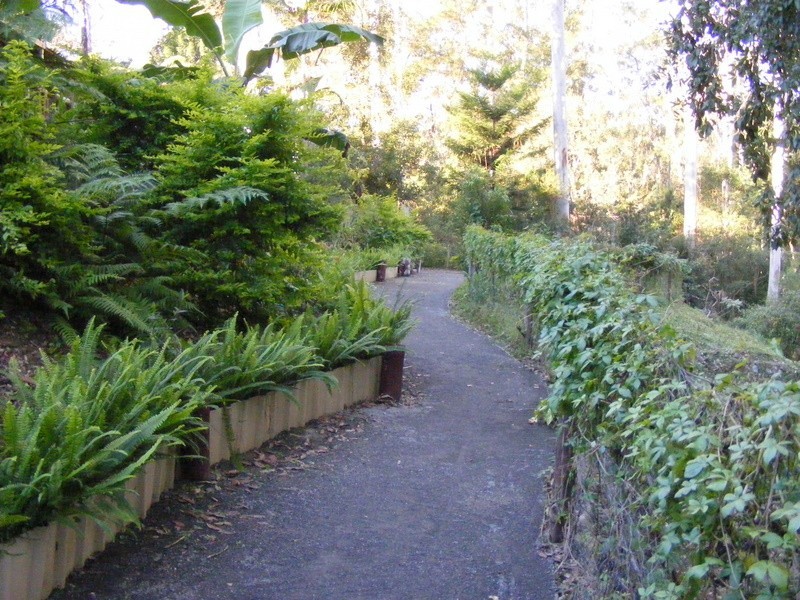 44 Lyon Street, Repton NSW 2454