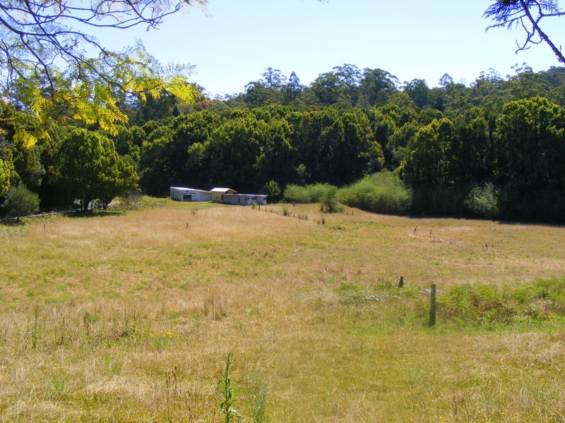 499 Bowraville Road, Bellingen NSW 2454