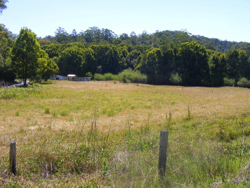 499 Bowraville Road, Bellingen NSW 2454