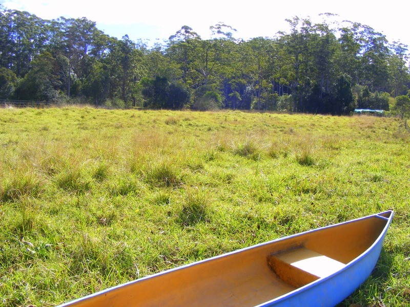 1231 South Arm Road, Bellingen NSW 2454