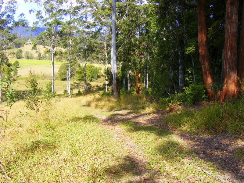 1231 South Arm Road, Bellingen NSW 2454