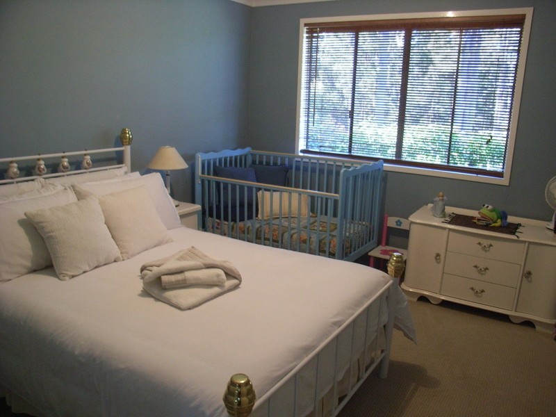 1231 South Arm Road, Bellingen NSW 2454