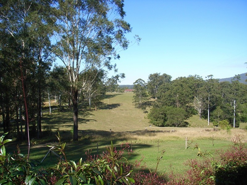1231 South Arm Road, Bellingen NSW 2454