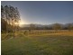 724 Timboon Road Gleniffer, Bellingen NSW 2454