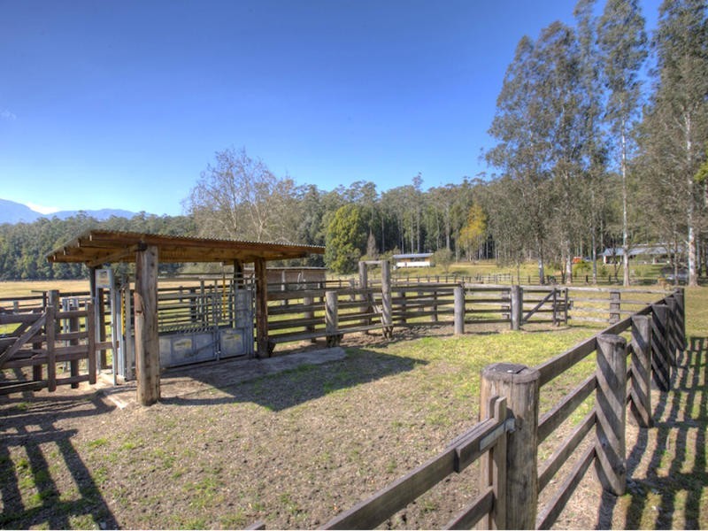 724 Timboon Road Gleniffer, Bellingen NSW 2454
