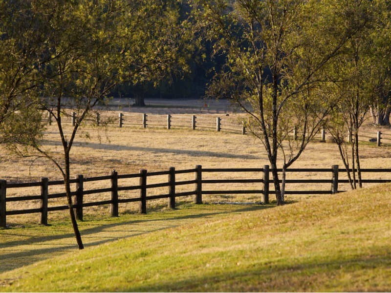 724 Timboon Road Gleniffer, Bellingen NSW 2454