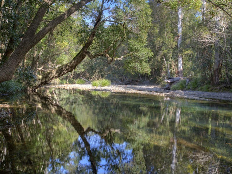 724 Timboon Road Gleniffer, Bellingen NSW 2454