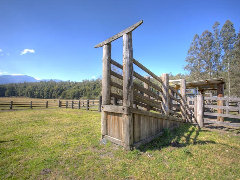 724 Timboon Road Gleniffer, Bellingen NSW 2454