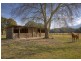 724 Timboon Road Gleniffer, Bellingen NSW 2454