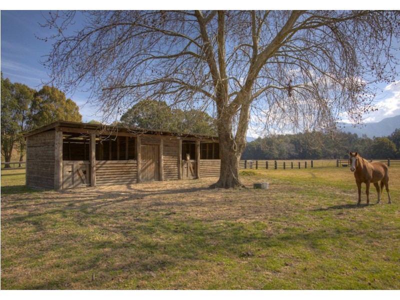 724 Timboon Road Gleniffer, Bellingen NSW 2454