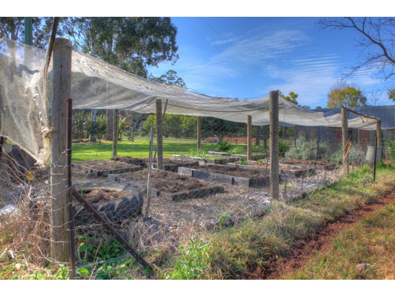 457 Summervilles Road, Thora, Bellingen NSW 2454