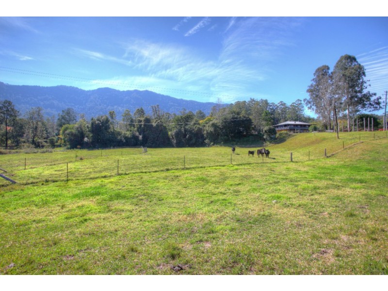 457 Summervilles Road, Thora, Bellingen NSW 2454