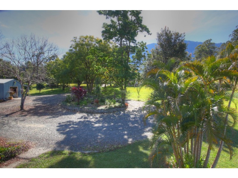 457  Summervilles Road Thora, Bellingen NSW 2454