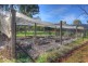 457  Summervilles Road Thora, Bellingen NSW 2454