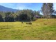 457  Summervilles Road Thora, Bellingen NSW 2454