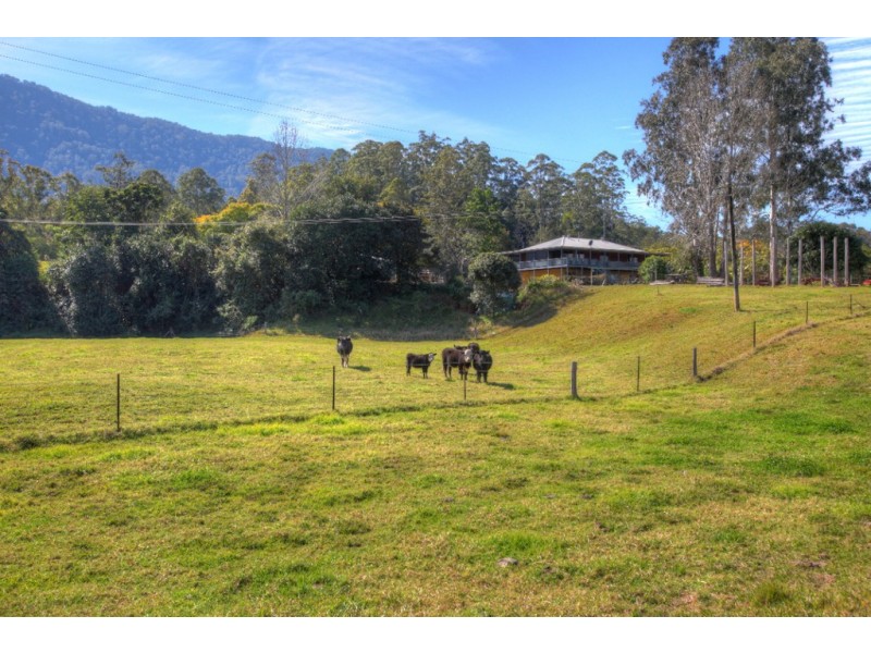 457  Summervilles Road Thora, Bellingen NSW 2454