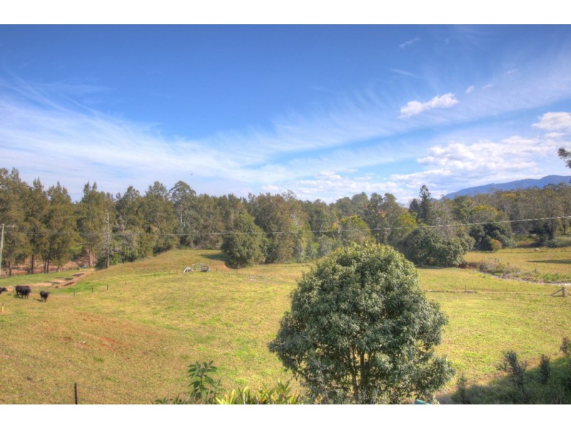 457  Summervilles Road Thora, Bellingen NSW 2454