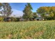 457  Summervilles Road Thora, Bellingen NSW 2454