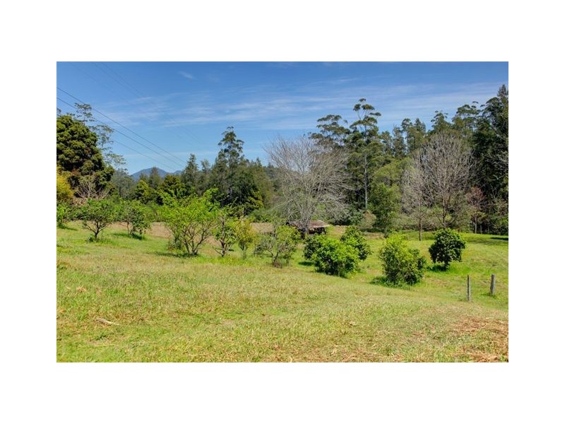 1690 Kalang Rd Kalang, Bellingen NSW 2454
