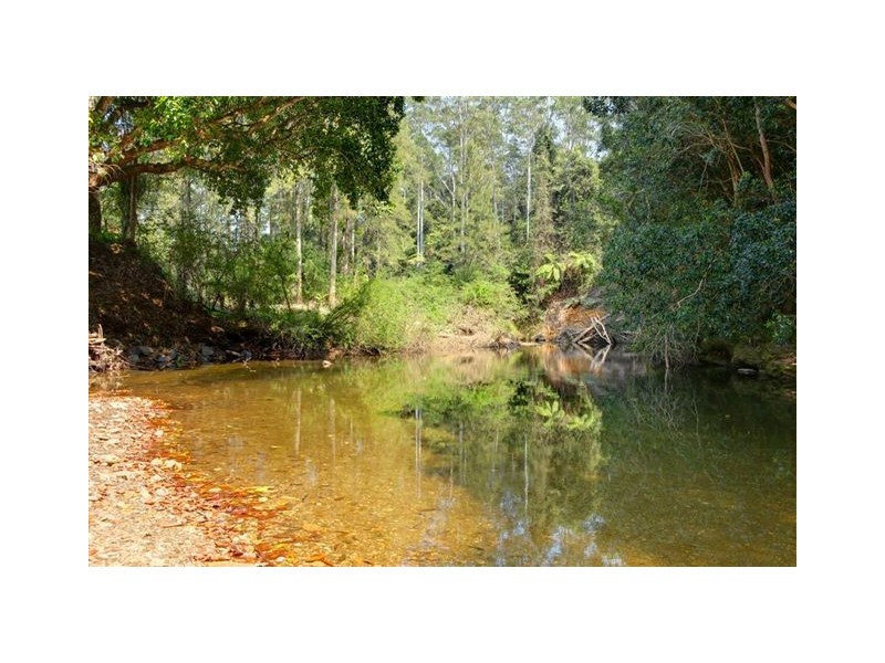 1690 Kalang Rd Kalang, Bellingen NSW 2454