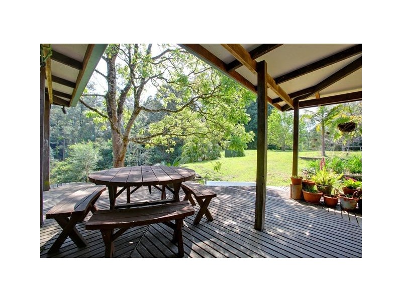 1690 Kalang Rd Kalang, Bellingen NSW 2454