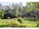 1690 Kalang Rd Kalang, Bellingen NSW 2454