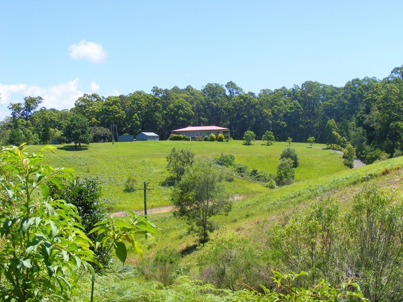 73 Hydes Creek Road, Bellingen NSW 2454
