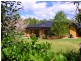 Dorrigo NSW 2453