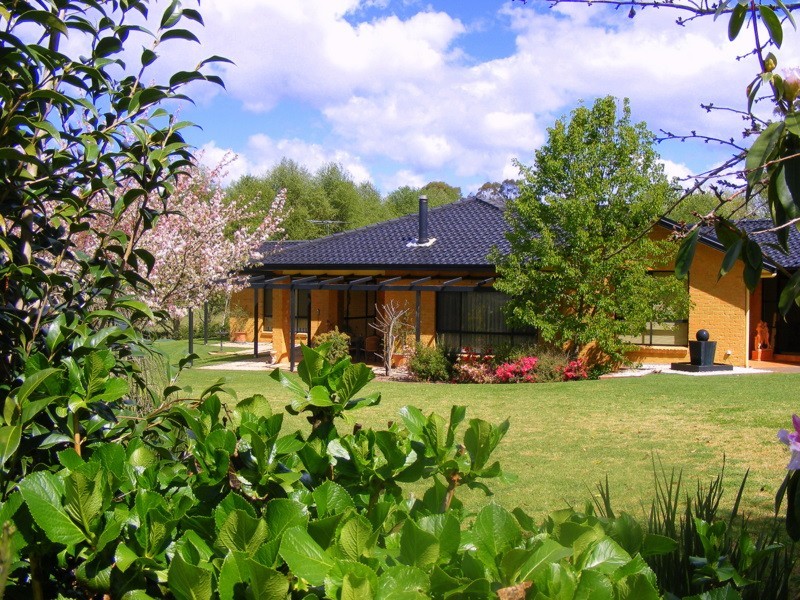 Dorrigo NSW 2453