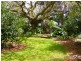 Dorrigo NSW 2453