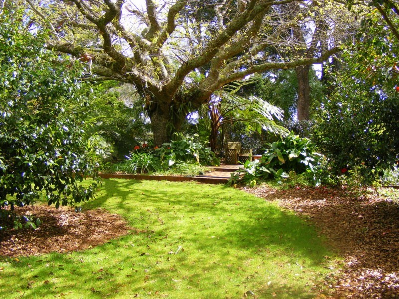 Dorrigo NSW 2453
