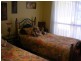 Dorrigo NSW 2453