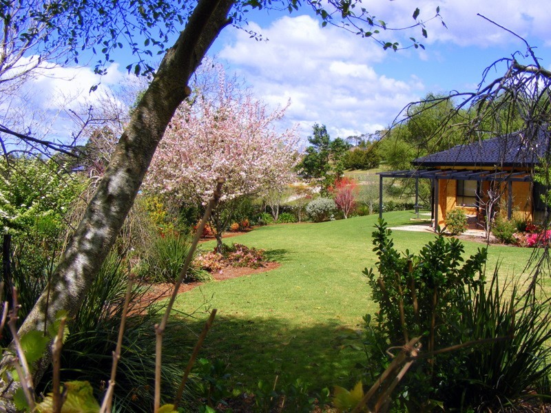 Dorrigo NSW 2453