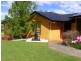 Dorrigo NSW 2453
